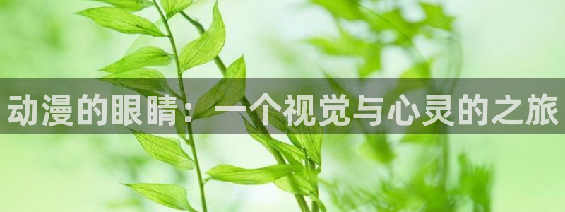 哈哩哈哩动漫在线