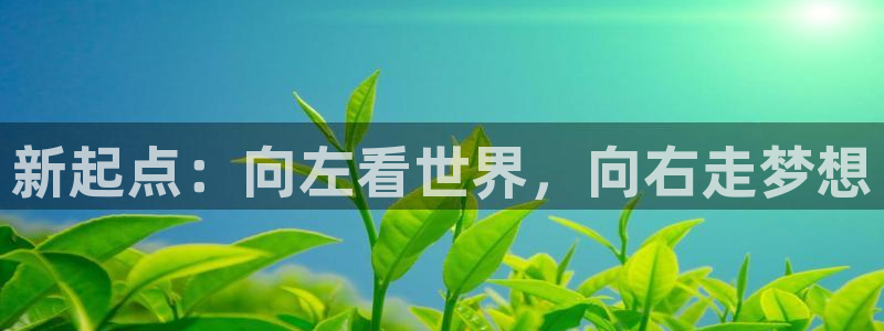 哈哩哈哩搜索页面