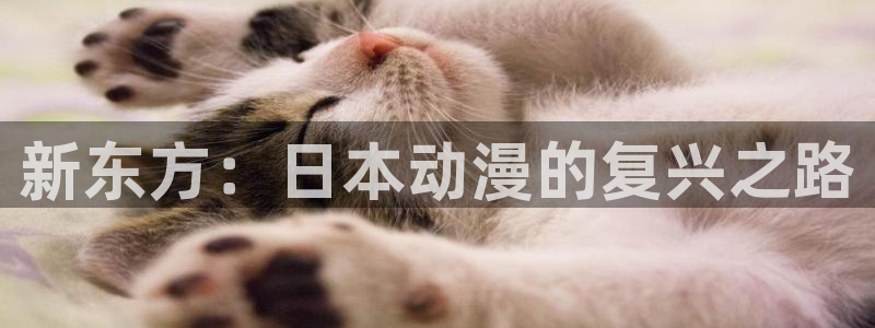 哈哩哈哩官网电视剧