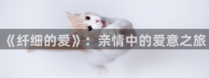 halihali哈哩哈哩动漫网站