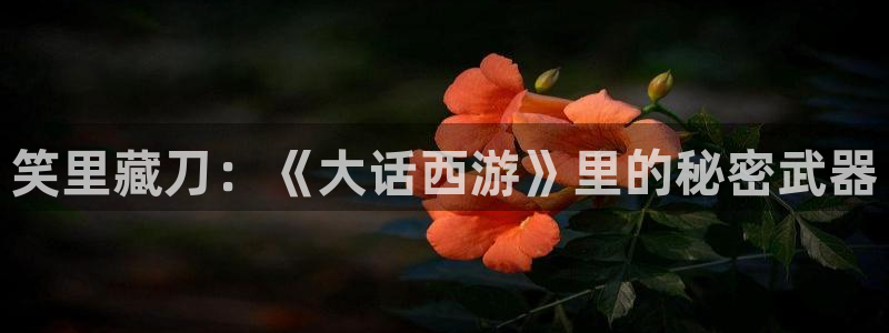 哈哩哈哩漫画官网在线观看