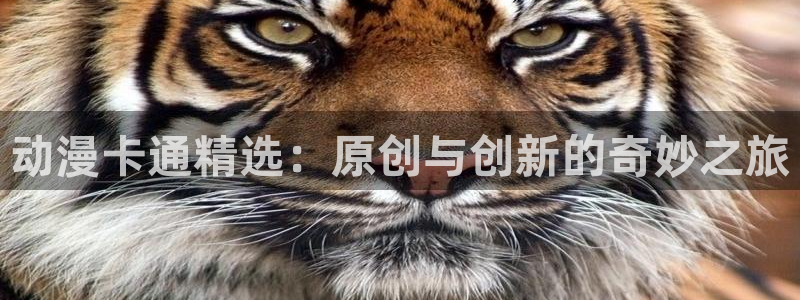 哈哩哈哩视频在线观看