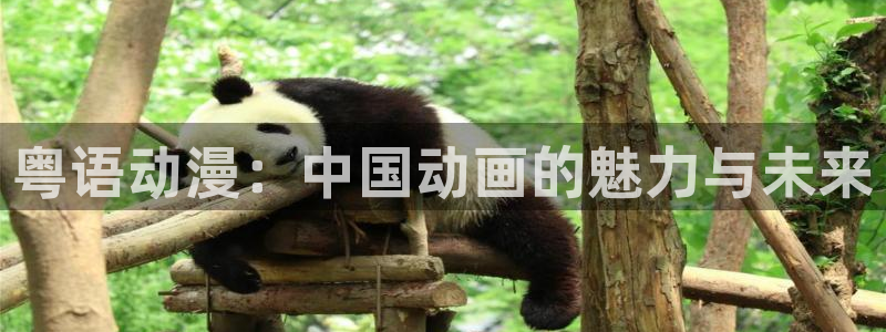 哈哩哈哩哩官网