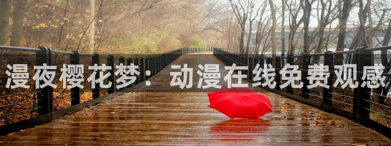 哈哩哈哩哩网站