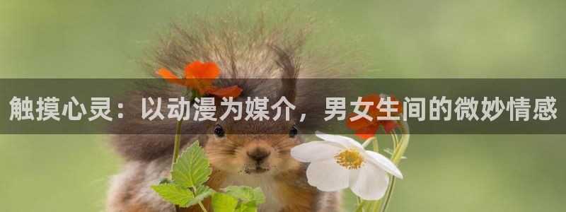 哈哩哈哩网站在线观看